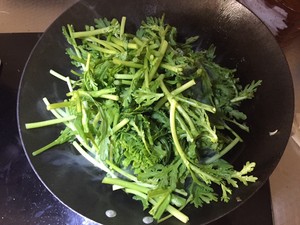 ニンニク成虫よもぎの茎の実践測定4