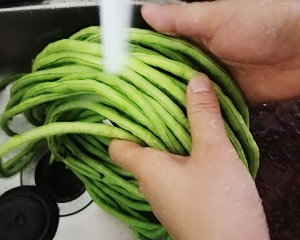 自己抑制されたアサビの豆の角（歴史が上がる）  3日間で終了します。最も簡単な）対策2 