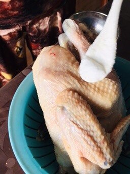 The practice measure of chicken of green oily immortal 1