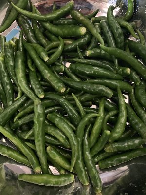 The practice measure of chicken of pointed any of several hot spice plants 1