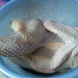 Simple the practice measure of the chicken of electric meal Bao of 0 failure 1