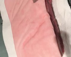 割れたカルボナード（焼いた豚の腹部の肉）クリスピーポークベリー4の練習対策 