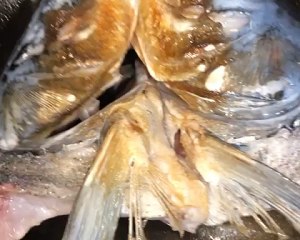 シチュー5を煮込む魚豆豆腐の実践測定