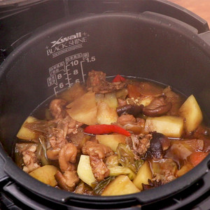 The practice measure of chicken of yellow stew of edition of electric meal Bao 4