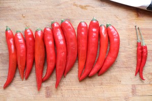 豚2を揚げる熱くて明るい肉の実地測定