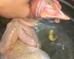 The practice measure that white behead chicken cuts chicken in vain 4