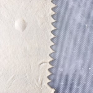The practice measure of chorion chickabiddy biscuit 11