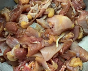 The practice measure of chicken of pointed any of several hot spice plants 5