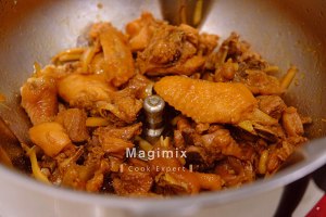 The practice measure of chicken of stew of Magimix · sanded ginger 6