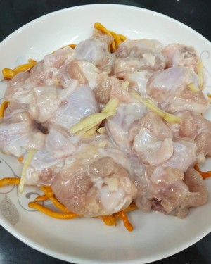 The practice measure of chicken of beautiful evaporate of Chinese caterpillar fungus 3