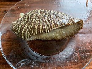 生きているココナッツスパイラルシェル5を殺す練習対策