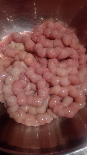 The practice measure of small intestine of bright fragile pig 2