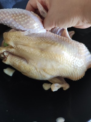 Accordingly old wide the practice measure that learns to do gallinaceous ~ to need green ginger garlic only 5