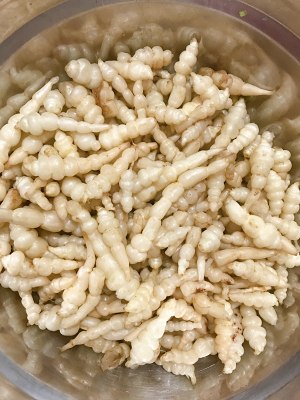 The ground calabash of dish of go with rice (white a black) simple the daily life of a family the practice measure of quick worker 3