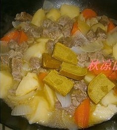 The practice measure of curry potato beef 9