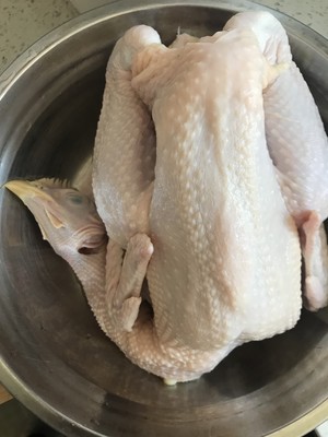 繊細な白旗1の鶏肉の練習尺度