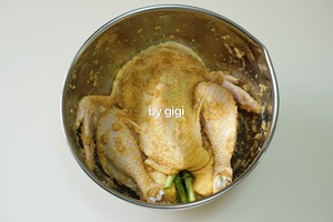 The practice measure of chicken of earthy boiler sanded ginger 6