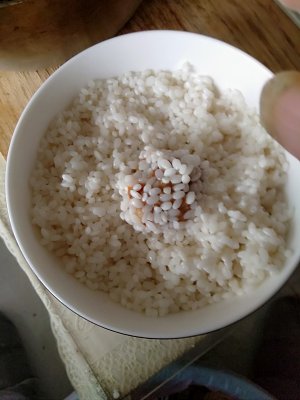The practice measure of bolus of pork of polished glutinous rice 4