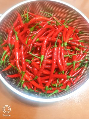 The practice measure of sauce of chop any of several hot spice plants 1
