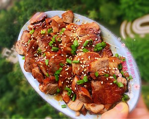 Bittern 豚（ox）建肉10 