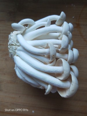 Bai Yuguがカツレツ2を炒める練習方法
