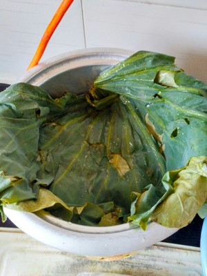 The practice measure of chicken of polished glutinous rice of lotus leaf of edition of electric meal Bao 4