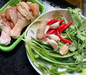 The practice measure that hand of cold and dressed with sause of go with rice rips chicken 1