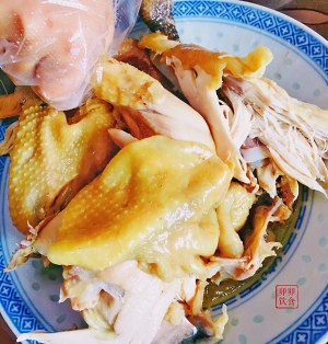 The practice measure of chicken of green oily immortal 7