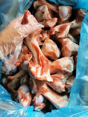 The practice measure of club of grind one's teeth of pig canister bone 1