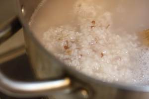ほうれん草豚の小麦と米以外の穀物のconの実習対策1
