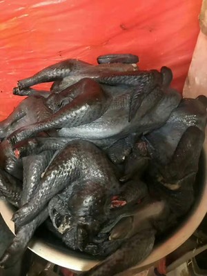 家庭で食塩水鶏を作る練習の動き1  
