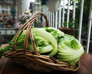 Pickled Chinese cabbage, god of go with rice implement, leave home town or oneself to do, the eating practice step that be at ease 1