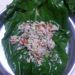 Gentleman amounts to dish (pig mother-in-law dish) the practice measure of the bag 7