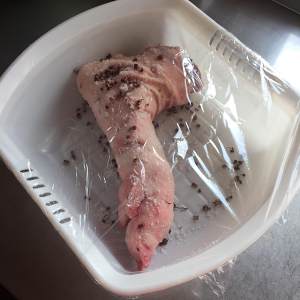Bloat the practice measure of pig leg 6