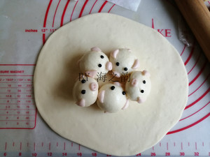 Dajidali's mother child the practice measure of pig steamed bread 8