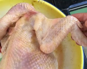 鶏の練習対策 偽の塩6 