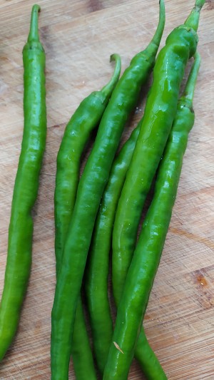 The practice measure that pointed any of several hot spice plants fries chicken 1
