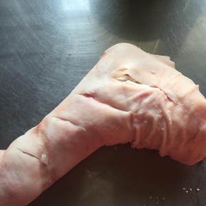 Bloat the practice measure of pig leg 2