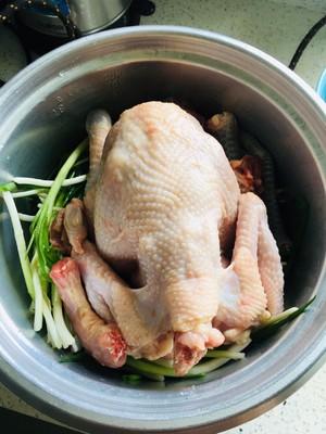 The practice measure of chicken of green oily immortal 3