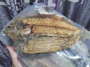 地球魚の食事1の測定値