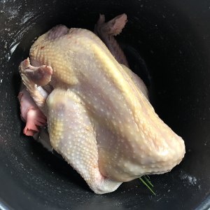 The practice measure of chicken of simple and crude    of Xian Tian salt 4