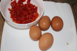 The meal suffers disaster series---The practice measure that chop any of several hot spice plants scrambles egg 1