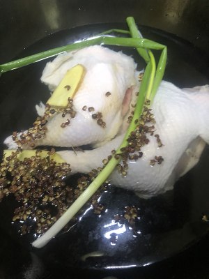 The practice measure of the buccal moorhen of simple quick worker 1