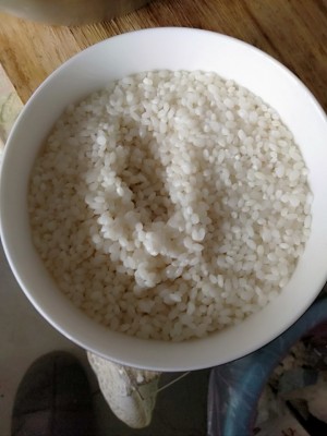 The practice measure of bolus of pork of polished glutinous rice 1