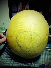 The practice measure of grapefruit pig treasure 1