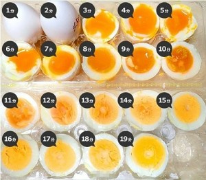 The practice measure of egg of bittern drifting a heart 8