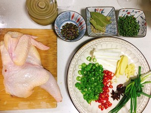 The practice measure of chicken of any of several hot spice plants of bright hemp cane 1