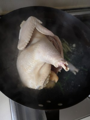 Chicken of hemp of any of several hot spice plants + measure of practice of chicken broth assorted 1