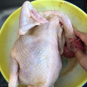 The practice measure of chicken of bogus salt    4