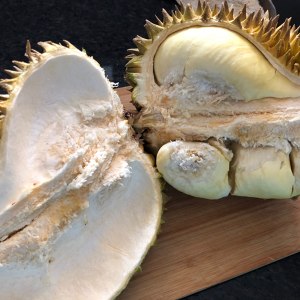 The practice measure of chicken of Durian carapace Bao 2